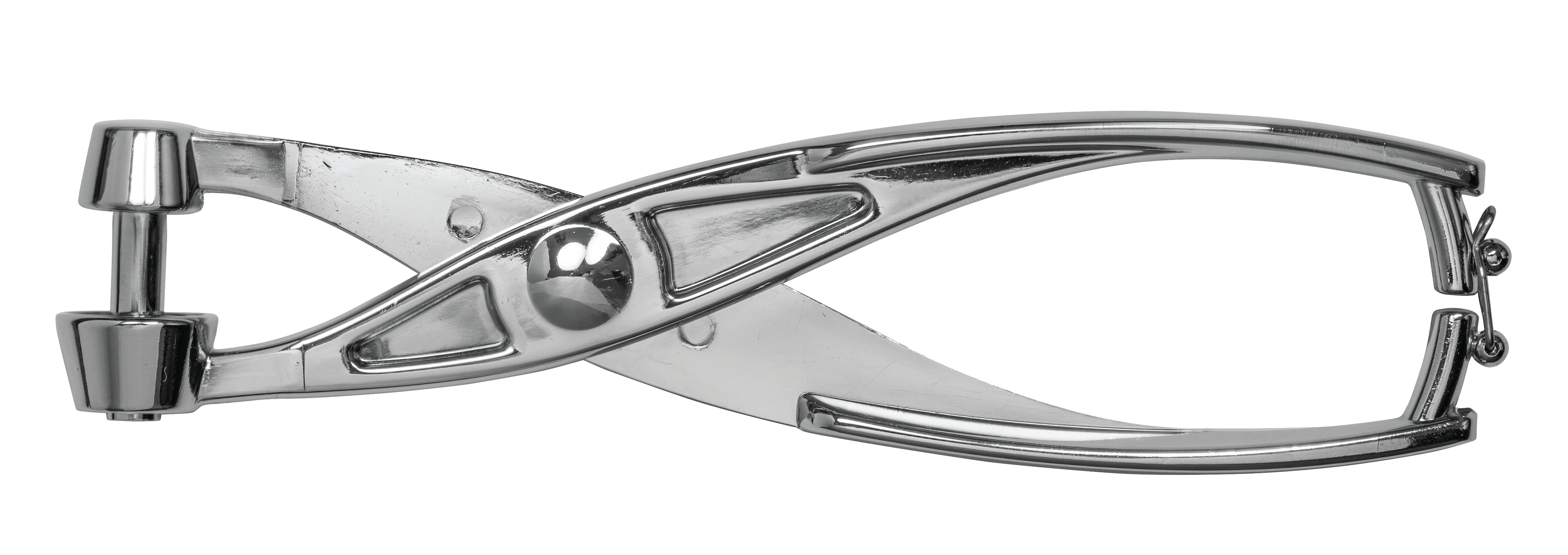 Avanti Cherry Olive Pitter