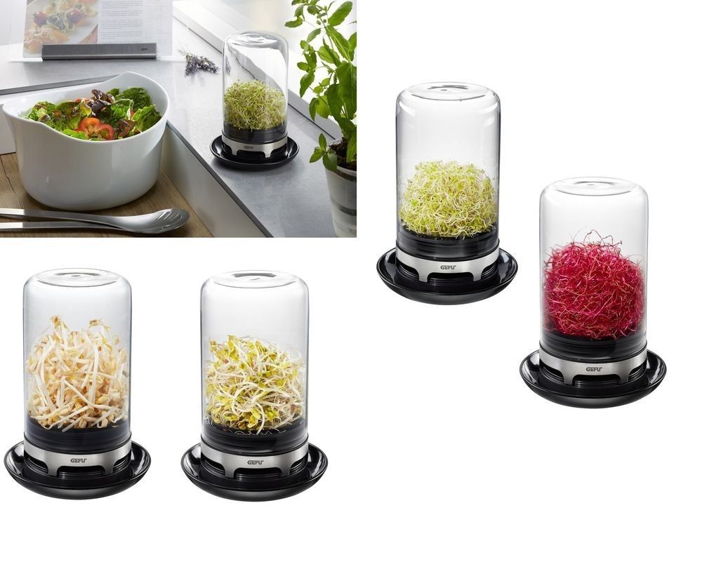 Gefu Bivita Sprouting Jar