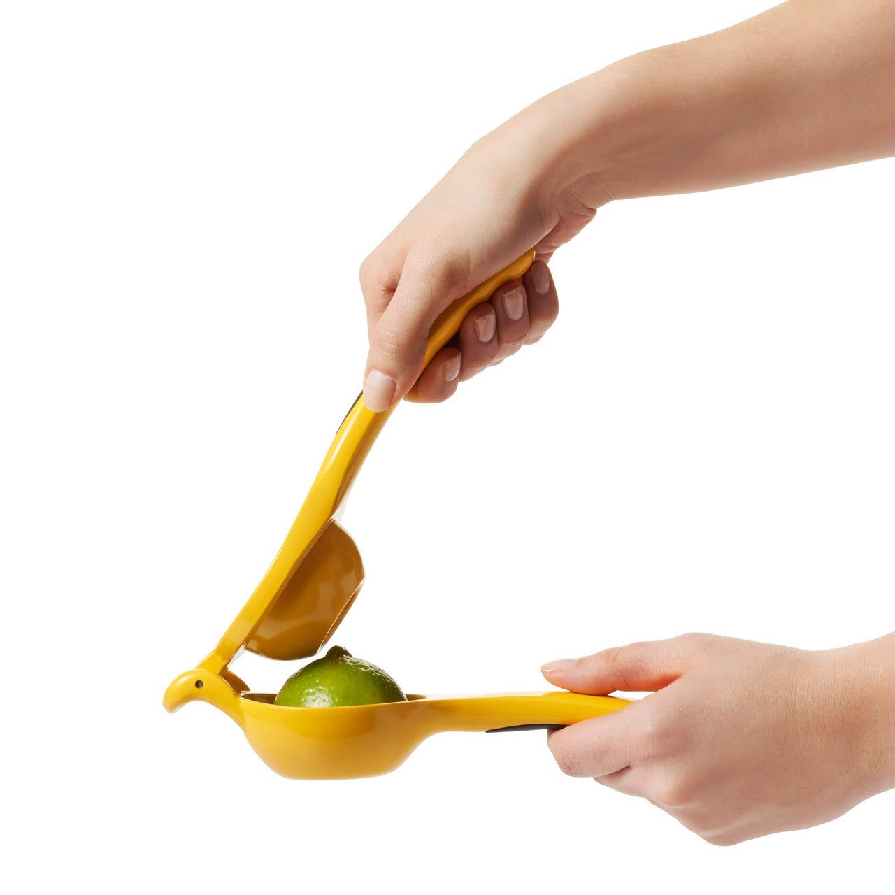 OXO Good Crips Citrus Squeezer
